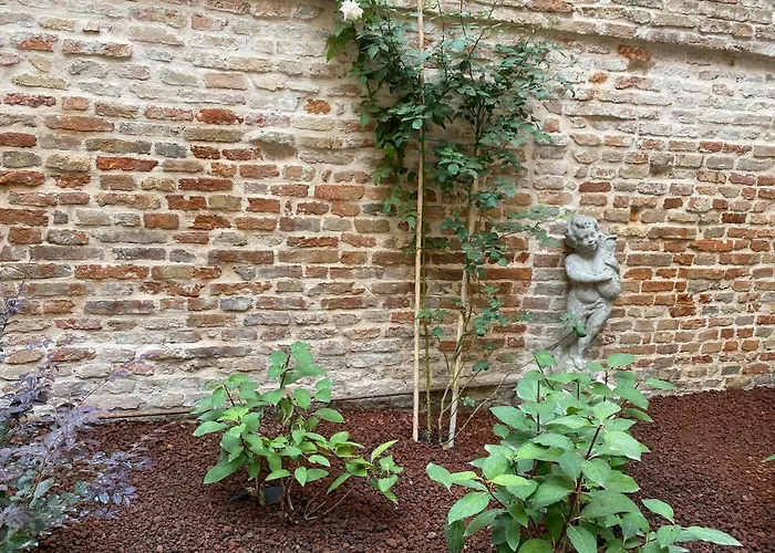 Ca' Del Pittor s